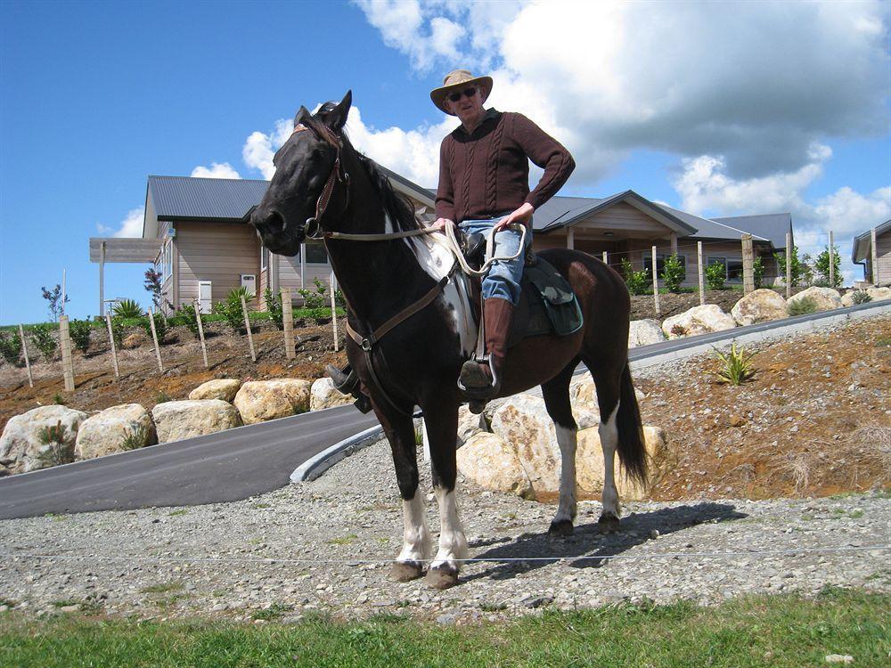 Kaimai Country Lodge Катикати Экстерьер фото