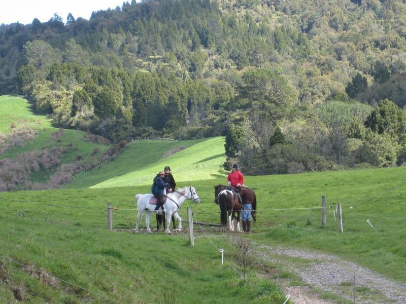 Kaimai Country Lodge Катикати Экстерьер фото